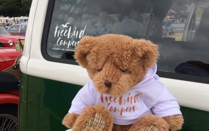 Freebird Campers Camper Hire Teddy Bear Powderham