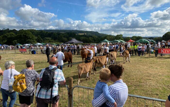 Visiting Honiton Show 2022